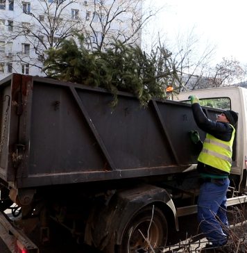 10.000 de brazi au fost colectați în Sectorul 3, în perioada 5-15 ianuarie