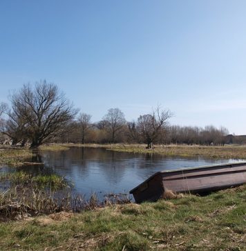 Alertă cod galben de inundații în opt județe, printre care Ilfov. Harta zonelor vizate