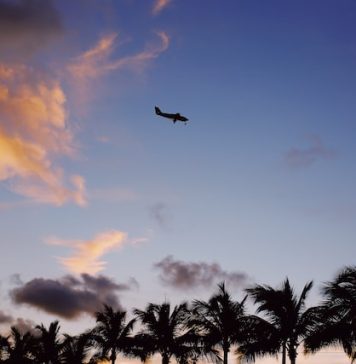 Indonesia and Malaysia agree to fight „discrimination” against palm oil