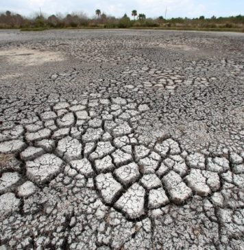 Seceta pedologică se va menţine în următoarea săptămână în cea mai mare parte a Dobrogei, dar şi în zone din Moldova şi Muntenia