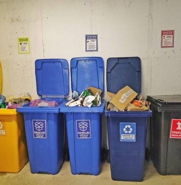 Tot ce trebuie să știi despre colectarea separată a deșeurile, în Sectorul 1