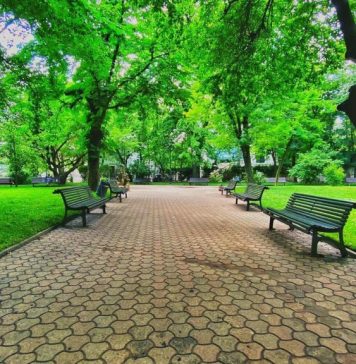 Zile libere în Noul An