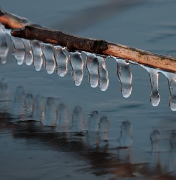 Avertizare meteo de polei și vreme rea pentru București