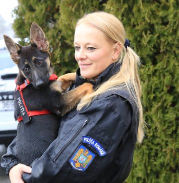 Povestea singurului loc din România unde se pregãtesc câinii de salvare în caz de cutremur – VIDEO