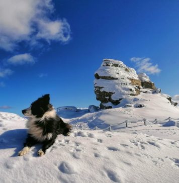 Salvamontiștii sunt în alertă: Risc mare de avalanșă, după ce s-a depus strat nou de zăpadă