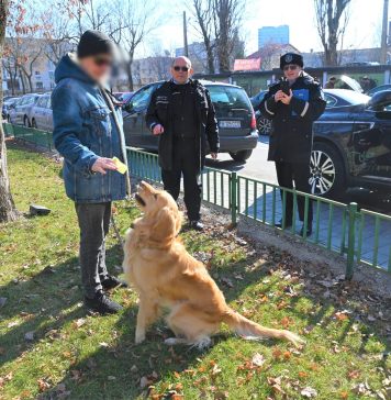 Poliția Locală Sector 2, acțiuni de informare a proprietarilor animalelor de companie