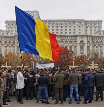 Sindicatele din Silvicultură protestează în faţa Senatului