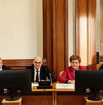 Oana Özmen (PNL): Subiecte importante pentru consolidarea economiei românești, pe ordinea de zi a ședinței Comisiei pentru Industrii și servicii