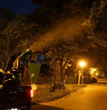 Primăria Capitalei începe tratamentele de deratizare, dezinsecție și dezinfecție