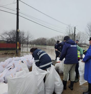 Apele Române, avertisment: Vârful viiturii de pe râul Bega, în zona Balinţ, va fi atins în această seară