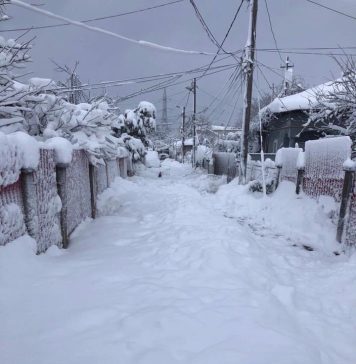 Avertizare: Cod galben de viscol în Carpaţii Meridionali şi de Curbură