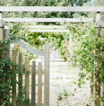 Fundația Comunitară București anunță susținerea unui nou proiect de grădini urbane în cadrul Platformei de mediu pentru București