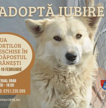 Protecția Animalelor CJ Ilfov: 𝗭𝗶𝘂𝗮 𝗽𝗼𝗿𝘁̦𝗶𝗹𝗼𝗿 𝗱𝗲𝘀𝗰𝗵𝗶𝘀𝗲 𝗶̂𝗻 𝗮𝗱𝗮̆𝗽𝗼𝘀𝘁𝘂𝗹 𝗕𝗿𝗮̆𝗻𝗲𝘀̦𝘁𝗶