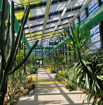 Serele exotice din Parcul Drumul Taberei. În Sectorul 6 există singurul loc din București unde avem vară tot anul – FOTO