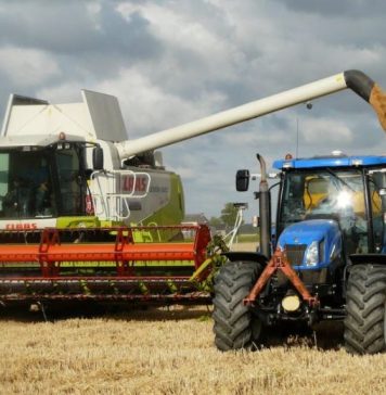 Over 13 tonness of cereals, oilseeds from Ukraine transited through Romania