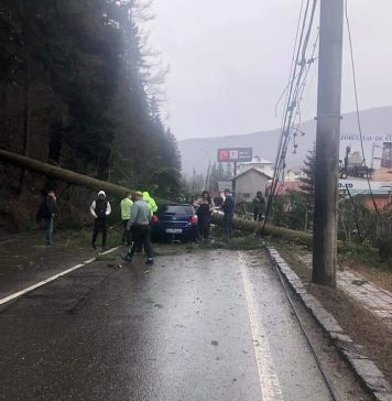 DN 1, blocat pe Valea Prahovei, la Azuga, după ce un copac a căzut peste o maşină în care se aflau două persoane