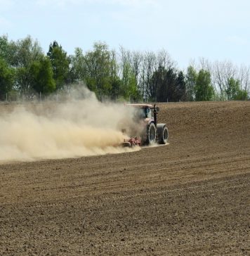 Agenţia pentru Finanţarea Investiţiilor Rurale a transmis către Comisia Europeană solicitarea pentru decontarea a 276,8 milioane de euro, pentru plăţile efectuate către beneficiarii FEADR