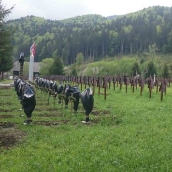 Crucile soldaților români din cimitirul de la Valea Uzului vor trebui demolate; George Simion: Este expresia dezbinarii și a lipsei de respect pentru sacrificiul suprem al unor ostași!