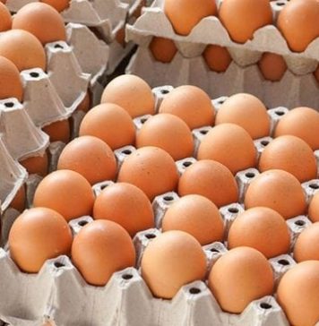 Ouăle se vor scumpi considerabil în România, avertizează Autoritatea Europeană pentru Siguranță Alimentară