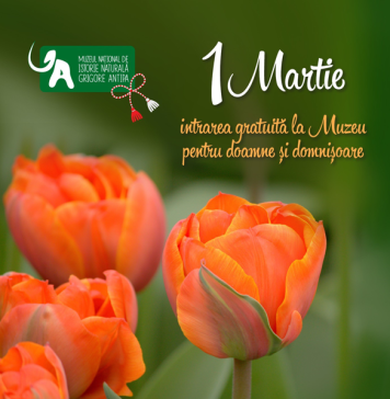 Intrare gratuită la Muzeul „Antipa” pentru doamne şi domnişoare, de 1 martie