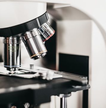 Romania’s R&D workforce advances 3.77% in 2021