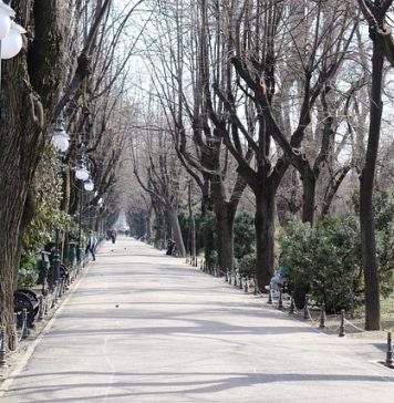 Urmează zile de primăvară în București, cu temperaturi de până la 19 grade Celsius
