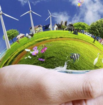 Ministerul Mediului, Apelor și Pădurilor lansează astăzi apelul de proiecte, prin PNRR, pentru reîmpădurirea suprafetelor de padure afectate de calamități