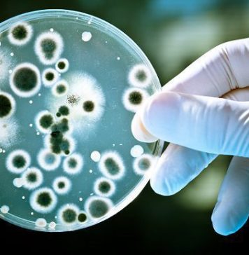 STUDIU/ O infecţie trecută protejează la fel de bine ca un vaccin în cazul COVID