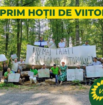 Marius Lazăr, copreședinte Partidul Verde (Verzii): „Domnule Ciucă, întrebați-vă Chatbotul: Câte milioane de metri cubi de lemn mai trebuie tăiate ilegal din România pentru ca să-l demiteti pe hoțul de viitor, Tanczos Barna???