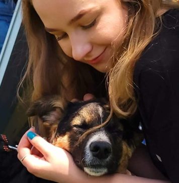 Primul târg de adopții de căței din acest an, pe 25 martie, în Parcul Circului