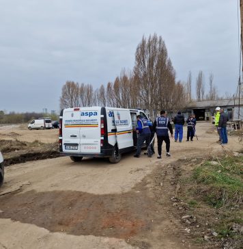 Poliția Locală Sector 2 și ASPA București, acțiune de capturare a câinilor fără stăpân – FOTO