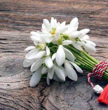 Ilfov: Ziua femeii, sărbătorită la Gruiu cu un spectacol dedicat, ”Ghiocei de ziua mamei”