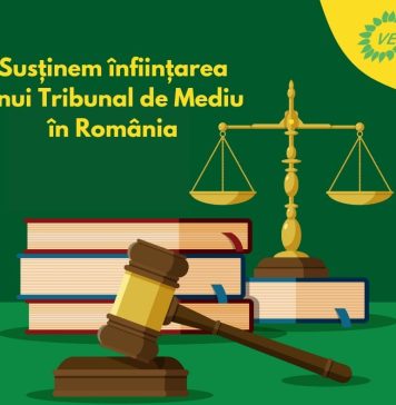 Partidul Verde: Vom susține înființarea unui Tribunal de Mediu în România, iar hoții de viitor vor trebui aspru pedepsiți
