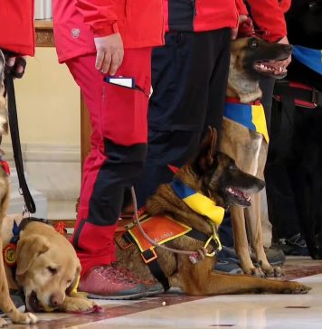 Exerciţiu de pregătire civilă în caz de cutremur major, la Palatul ASE. Va participa Asociaţia Clubul Câinilor Utilitari