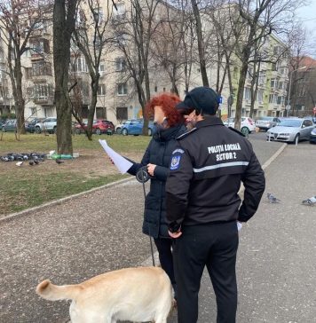 Noi acțiuni de informare a stăpânilor de animale de companie din Sectorul 2
