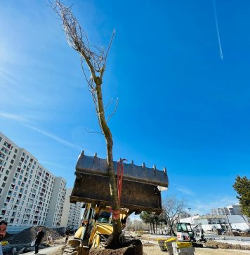 Ciprian Ciucu: Sunt din ce în ce mai mulțumit de ADP Sector 6