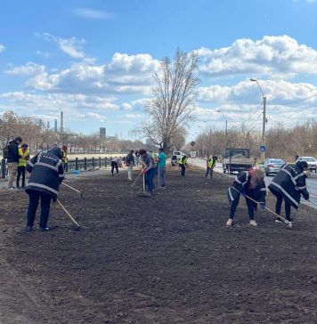 Nicușor Dan: Mai mult verde pe aliniamentele stradale dintre Parcul Natural Văcărești și Râul Dâmbovița