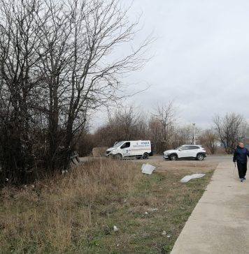 ASPA, după ce a capturat trei căini din zona străzilor Drumul Ghindari şi Ghidigeni: Este necesară o intervenţie mai susţinută a autorităţilor locale
