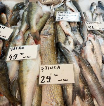 Cum vă dați seama dacă PEȘTELE din piață sau magazin este stricat. Recomandările lui Paul Anghel, șeful ANPC