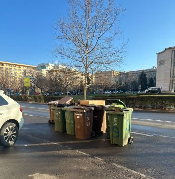 FOTO/ Ciolacu: Pubele pline ochi, tronând nederanjate în soare, mi-au amintit că doamna Clotilde Armand m-a provocat la o plimbare prin București