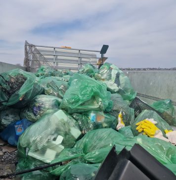 Continuă campania de curățenie de primăvară din Sectorul 6