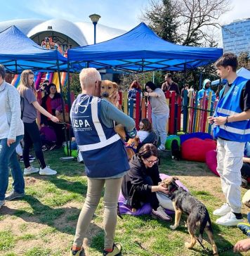 Câți căței au fost adoptați la primul târg organizat anul acesta de Primăria Capitalei