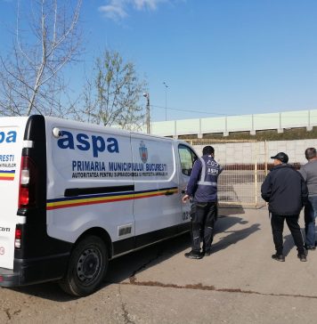 ASPA Bucureşti: Doar în luna martie, peste 100 de câini au fost capturaţi din sectoarele 5 şi 6
