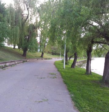Consiliul Local al Sectorului 2, împuternicit să achiziţioneze peste 41.000 de metri pătraţi din Parcul Plumbuita