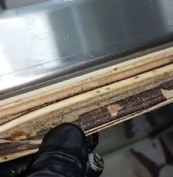 Restaurant din Sectorul 1, închis de ANPC. S-a găsit mâncare expirată, mizerie și grătare cu rugină – VIDEO