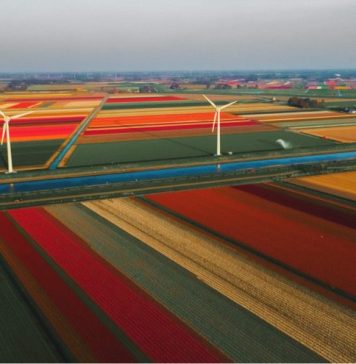 Vrei să începi o nouă viață în Olanda? Iată câteva lucruri pe care trebuie să le știi despre piața muncii din țară!