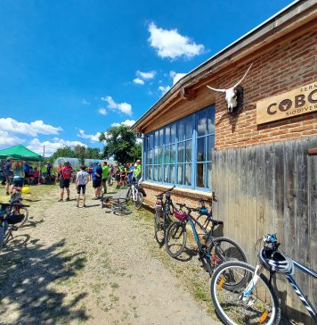 „Cobor între stejari”, cel mai nou festival care pune în valoare stejarii, se va desfășura pe 3-4 iunie, în satul Cobor