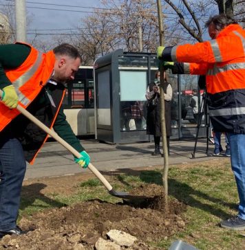 Amplă campanie de plantare pomi în Sectorul 5. Rareş Hopincă, city manager: ”În Parcul Eroilor plantăm 100 de tei azi. Vrem să mergem cu plantările și în mijlocul cartierelor” – FOTO/VIDEO