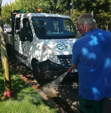 Primăria Capitalei începe tratamentele de dezinsecţie pentru combaterea căpuşelor