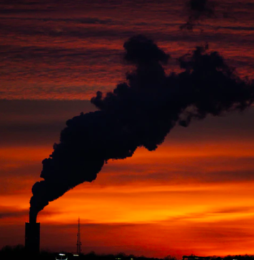 STUDIU/ Poluarea aerului afectează procesul de reproducere a anumitor insecte